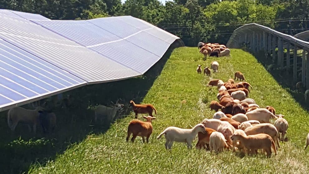 Solar Power for Farmers